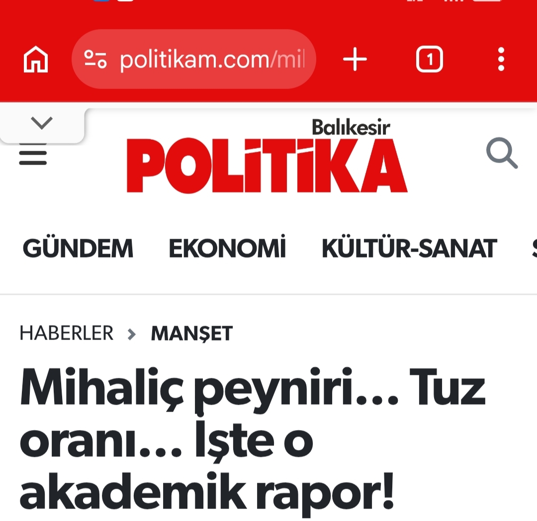ergün hoc mihaliç 1! ?? 