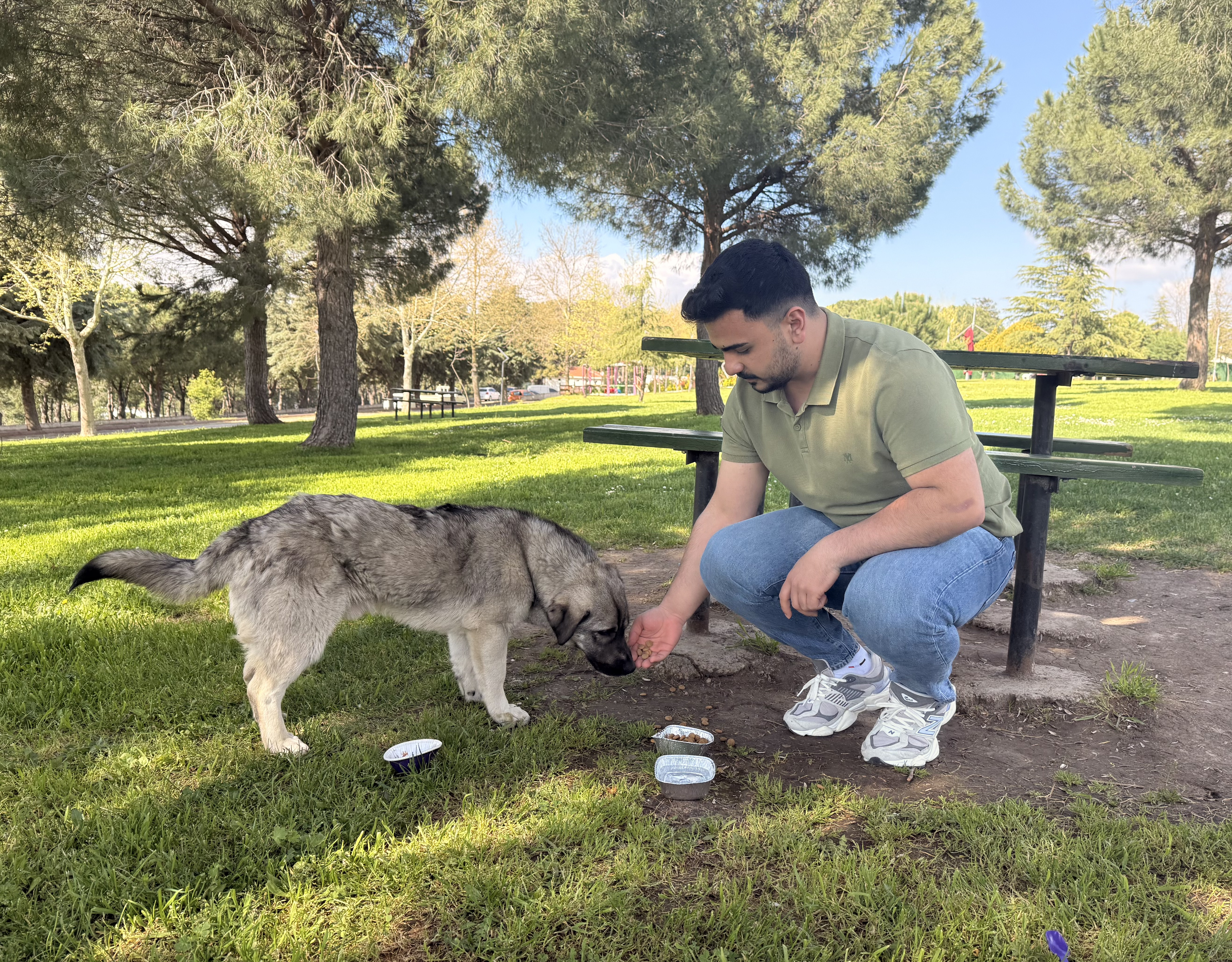 tuba hoc.sok hayvanları 2026 2! ?? 