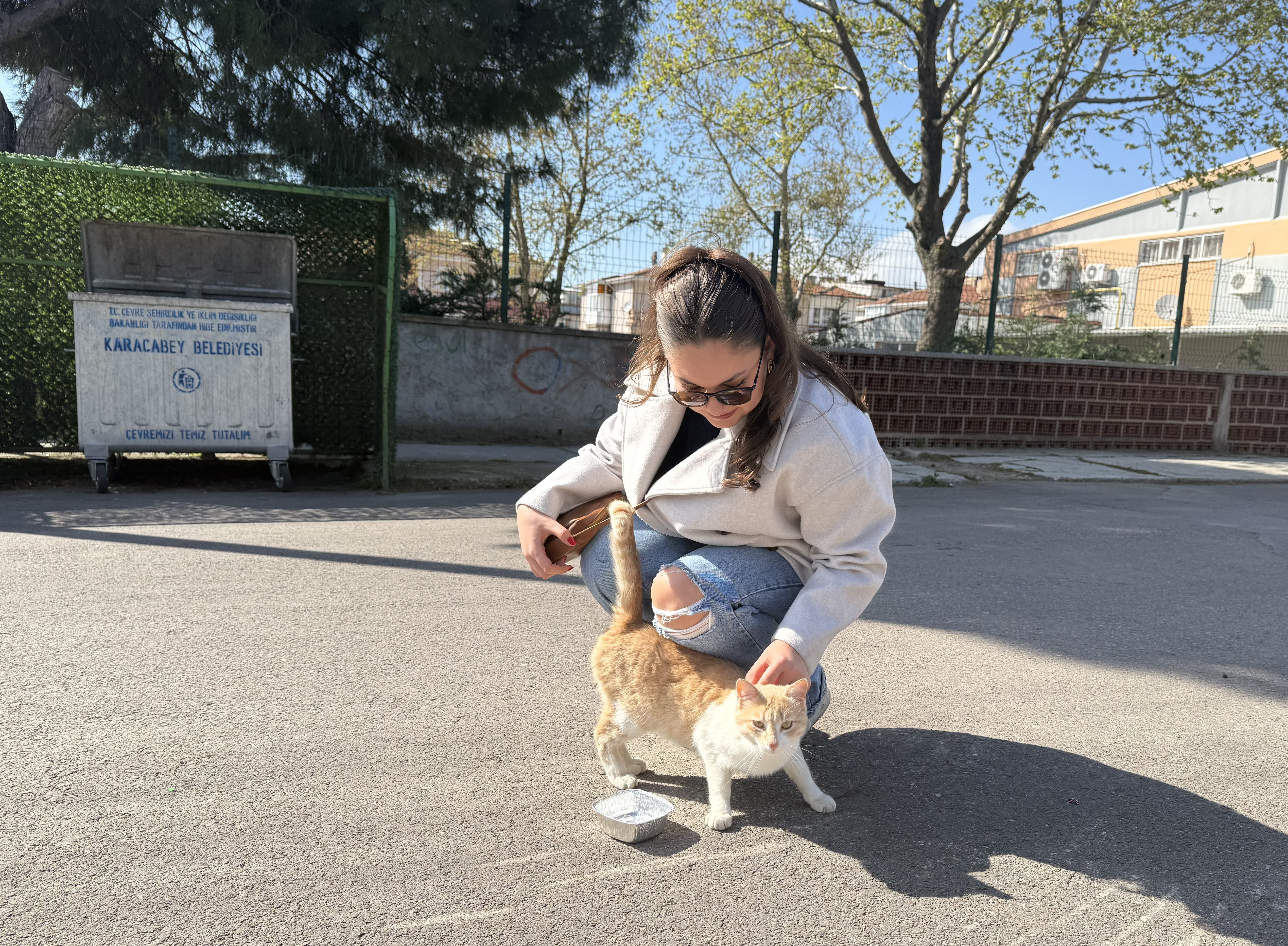 tuba hoc.sok hayvanları 2026 4! ?? 