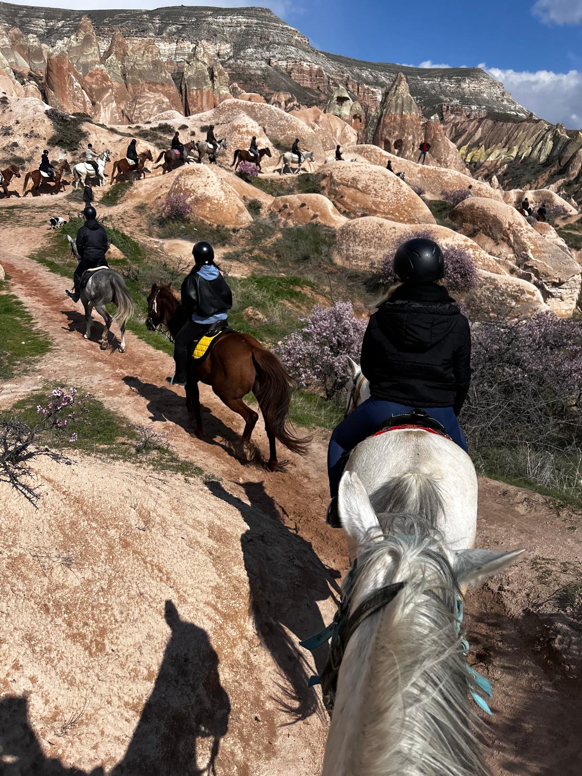 WhatsApp Image 2026-04-16 at 16.26.08! ?? 