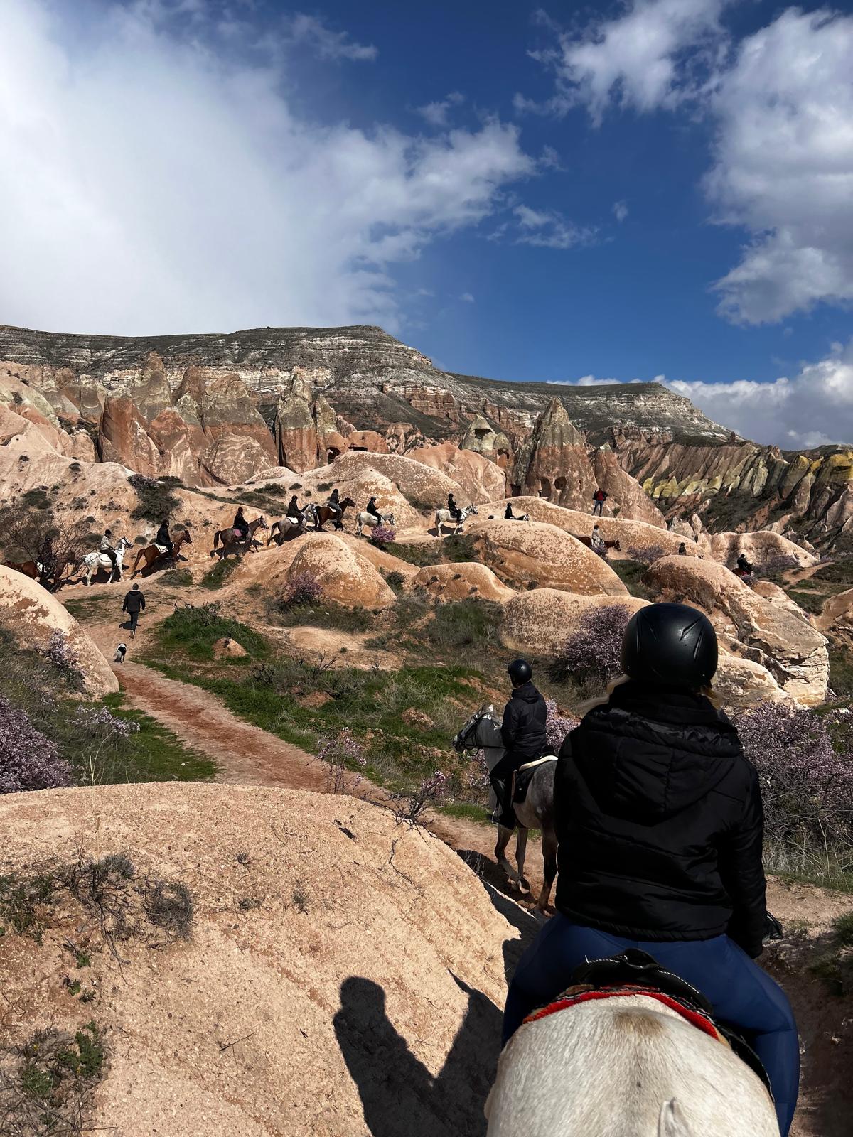 WhatsApp Image 2026-04-16 at 16.26.41! ?? 