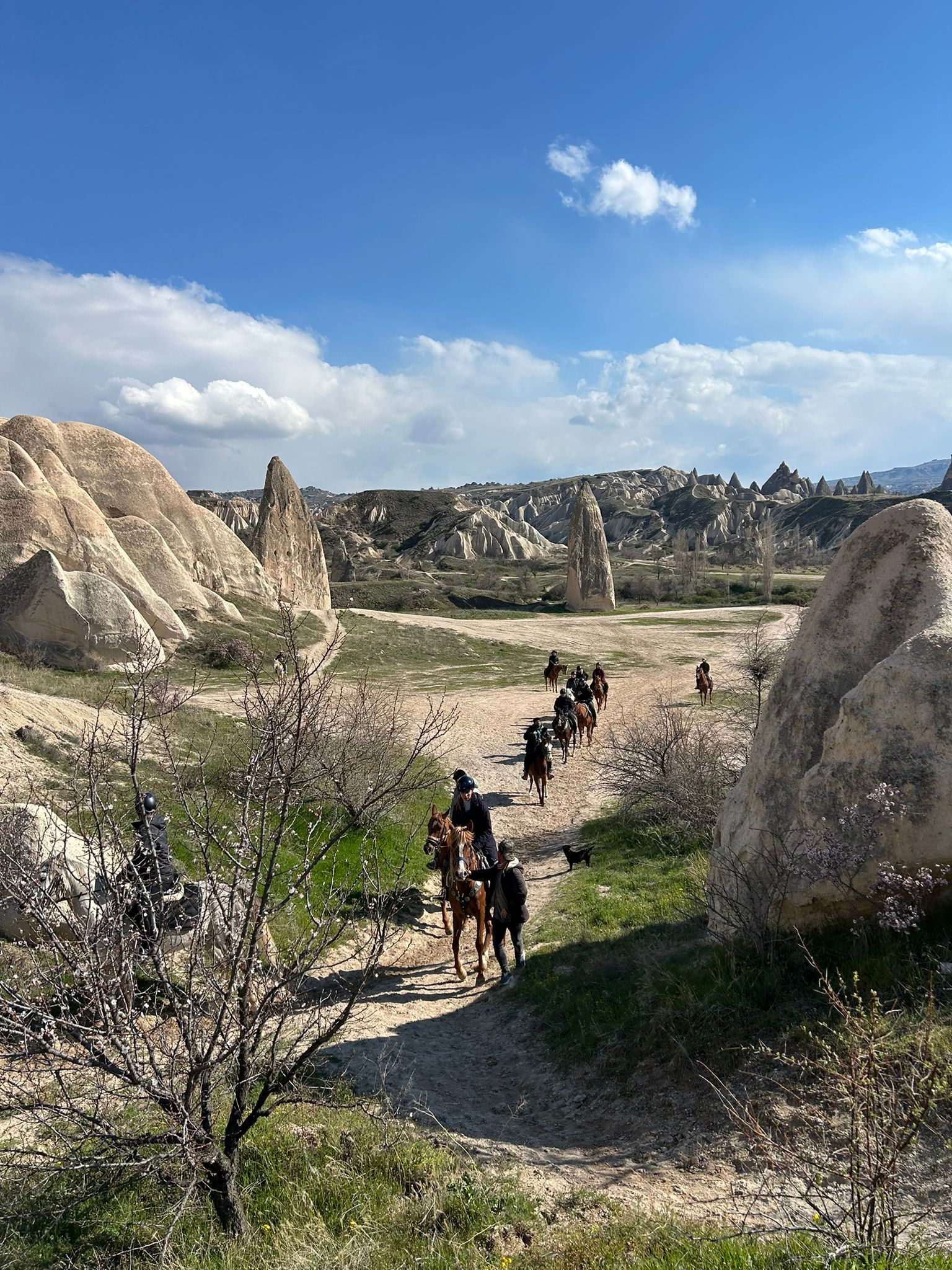 WhatsApp Image 2026-04-16 at 16.27.26! ?? 