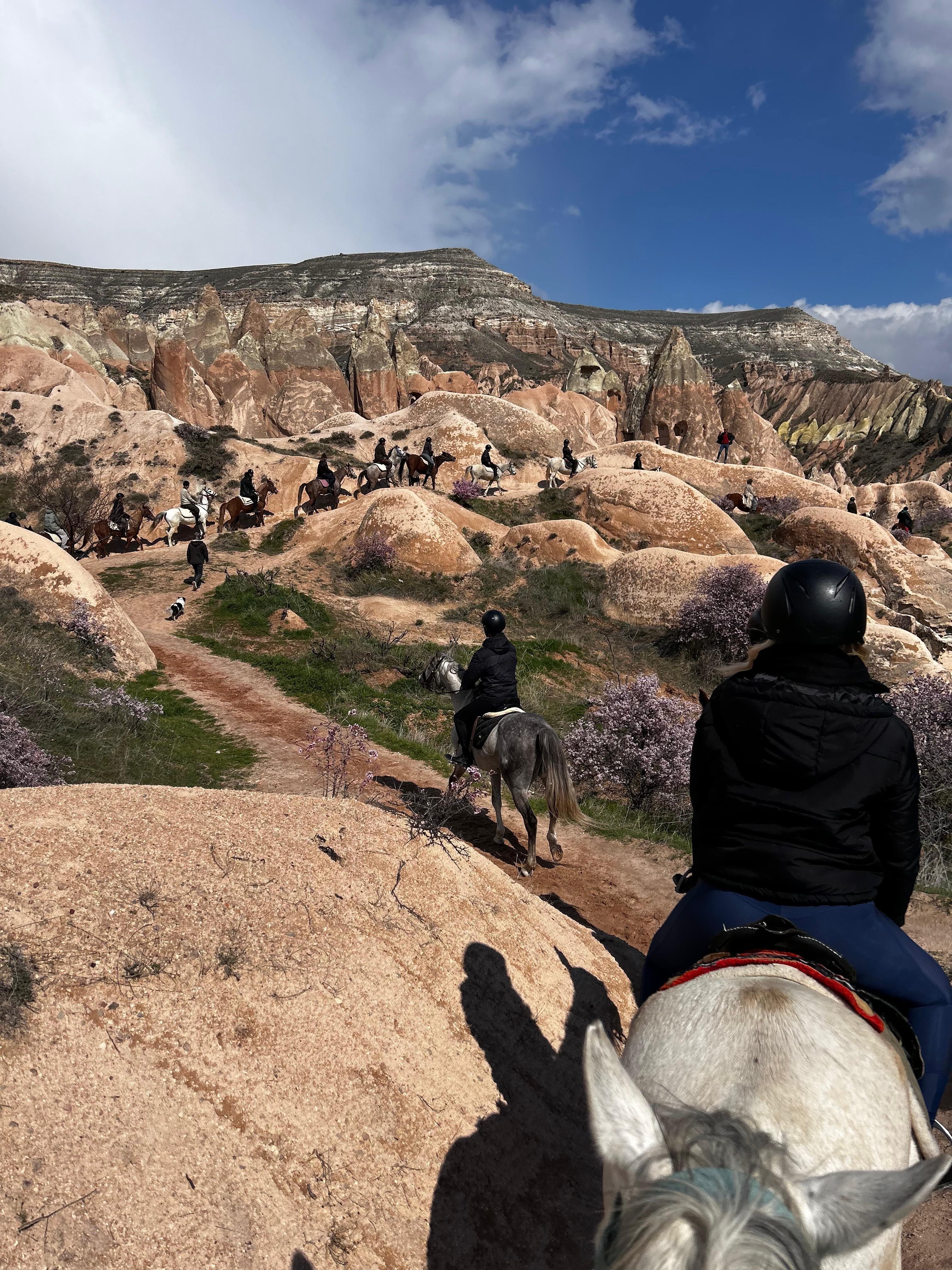 36274f59-581d-4d4c-ad9b-d579888b5be5 - Kopya! ?? 