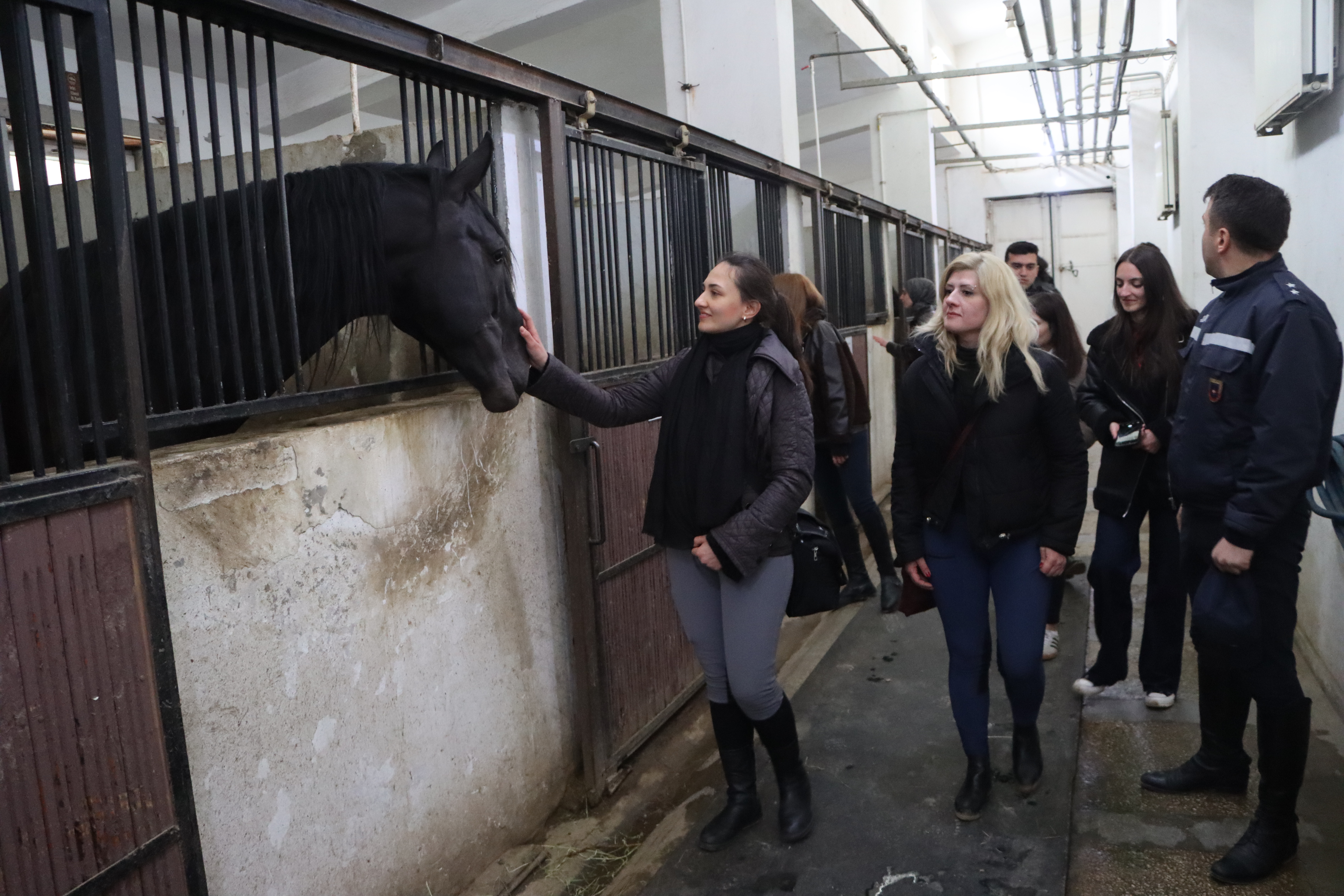 IMG_3896.JPG - Kopya! ?? 