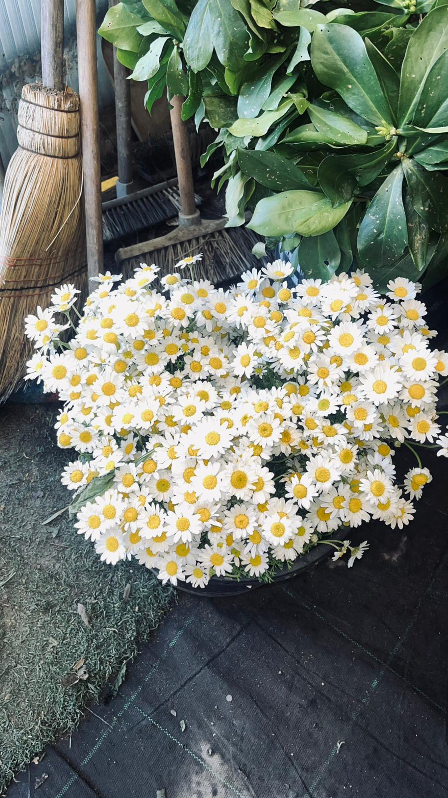 WhatsApp Image 2026-03-11 at 11.10.04! ?? 