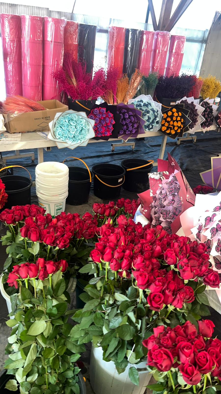 WhatsApp Image 2026-03-11 at 11.10.21! ?? 