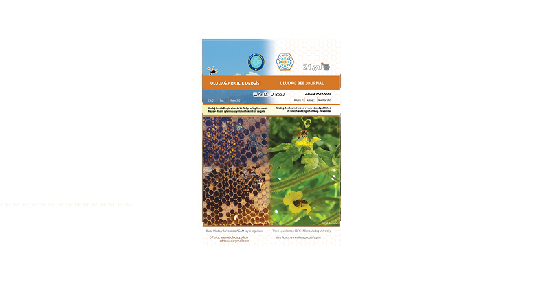  Uludağ Arıcılık Dergisi 2021-2 Sayısı Yayınlandı 