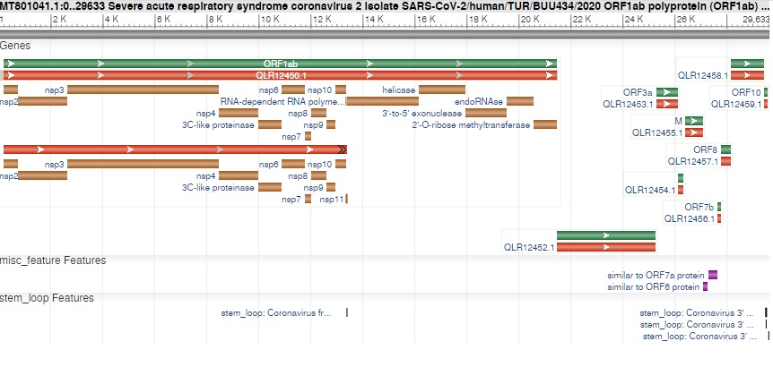 Covid-19 hastasından alınan SARS-CoV-2 virüs genomunun dizi analizi yapıldı