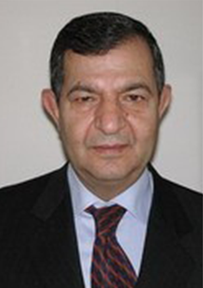 Prof. Dr. Mete Cengiz