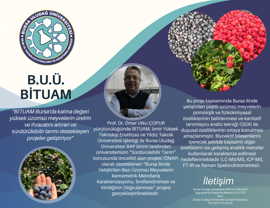 “BİTUAM Bursa’da katma değeri yüksek üzümsü meyvelerin üretim ve ihracatını artıran ve sürdürülebilir tarımı destekleyen projeler geliştiriyor”