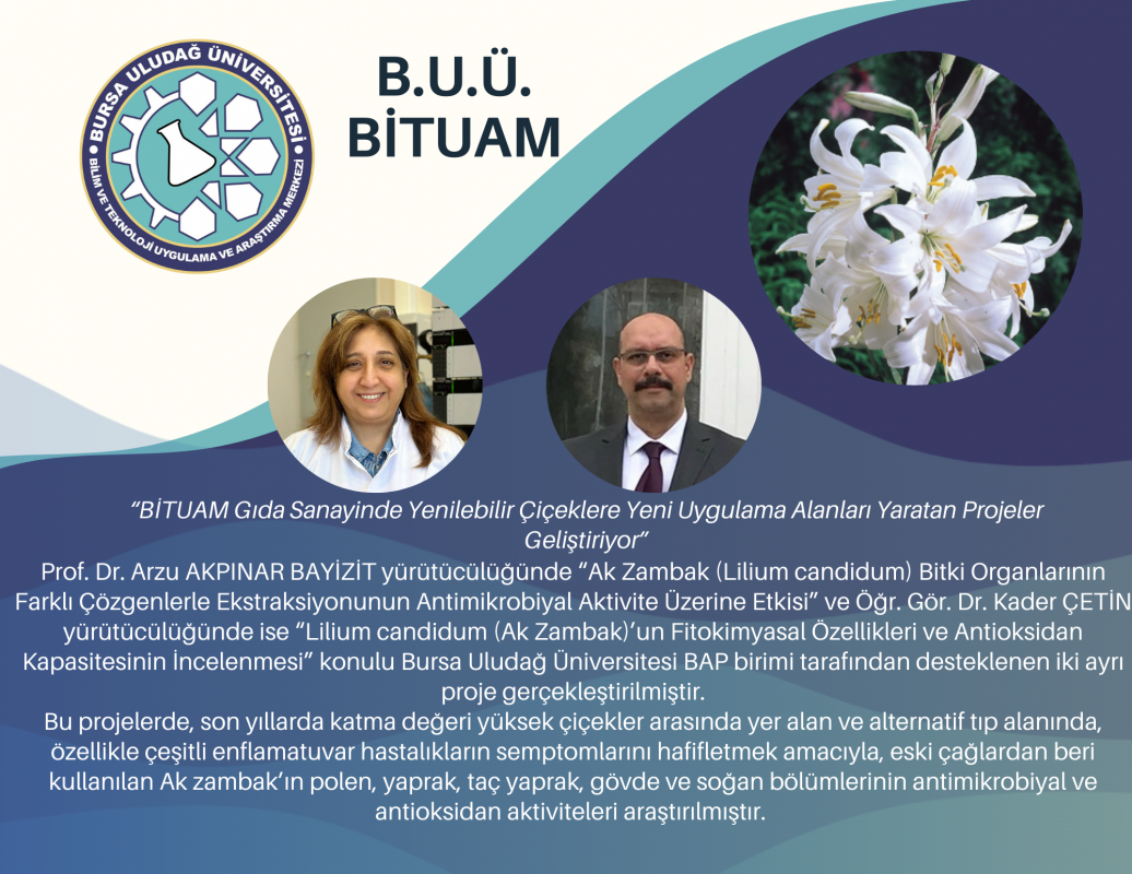 “BİTUAM Gıda Sanayinde Yenilebilir Çiçeklere Yeni Uygulama Alanları Yaratan Projeler Geliştiriyor”