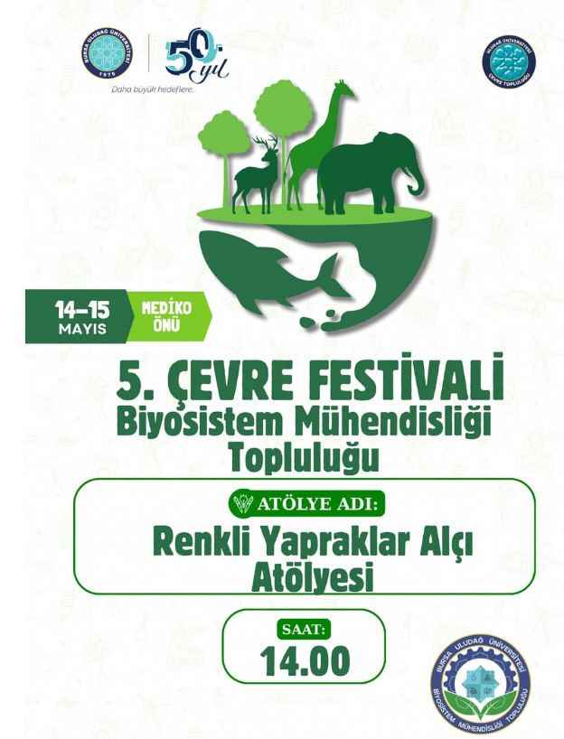 5. Çevre Festivali, Renkli Yapraklar Alçı Atölyesi