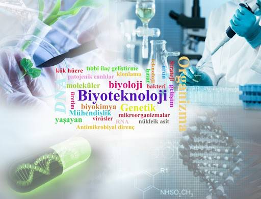 Disiplinlerarası “Biyoteknoloji” Doktora Programı Açılmıştır