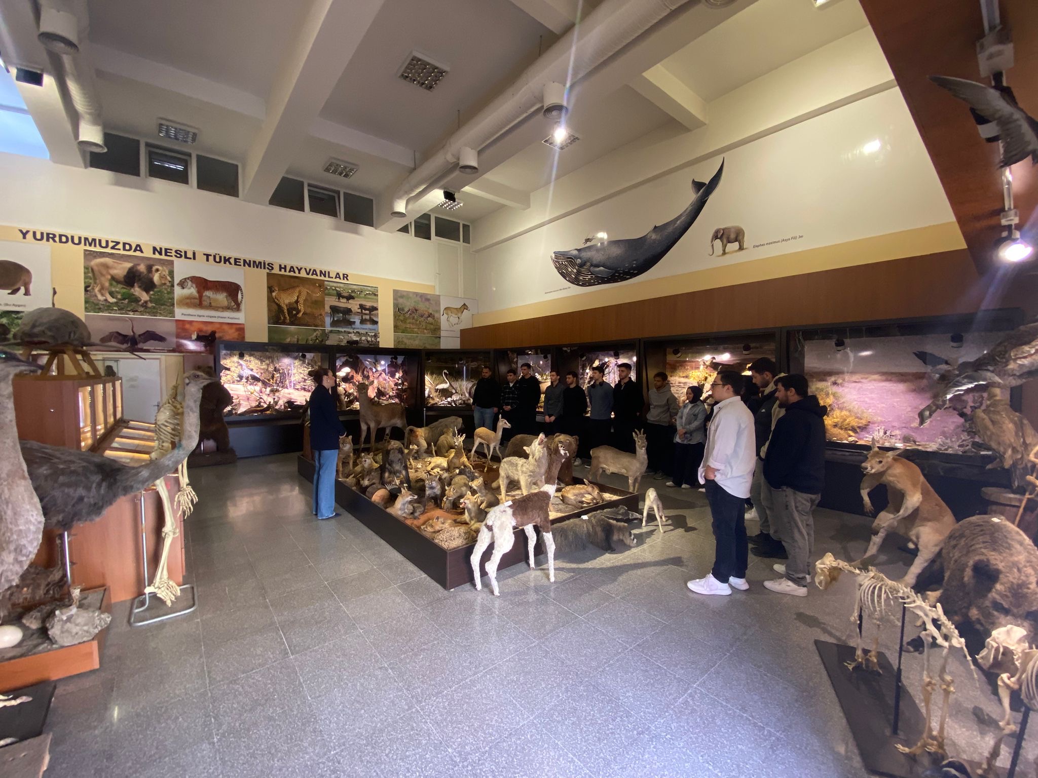 9a4d1f7c-b8f7-4a76-a3bd-0e68962e36ab! ?? 