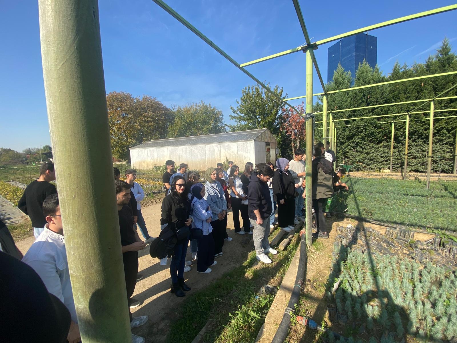 1341af58-d2e1-4528-97d7-27083d33aad9! ?? 