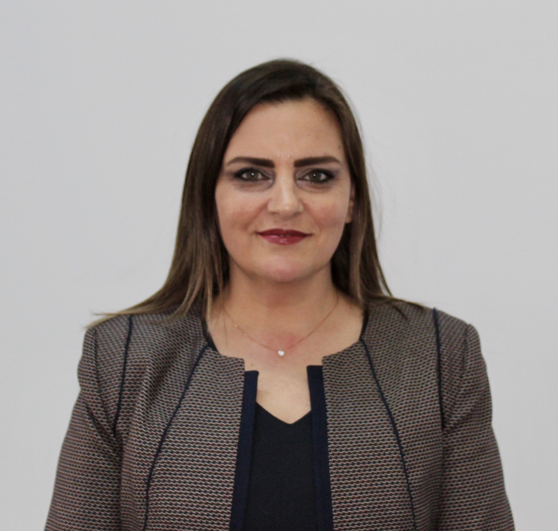 Dr arfa syeda zehra