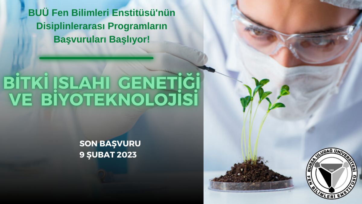  DİSİPLİNLERARASI PROGRAMLARIN BAŞVURULARI BAŞLIYOR! 