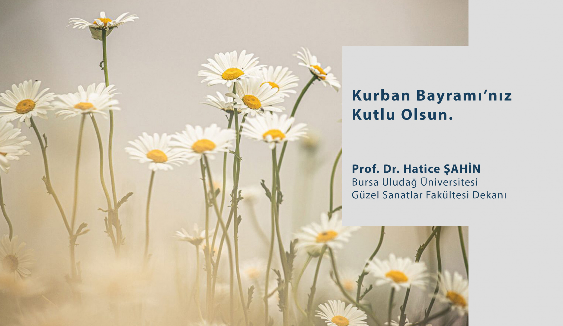  Dekanımız Sn. Prof. Dr. Hatice ŞAHİN'in Kurban Bayramı Mesajı  