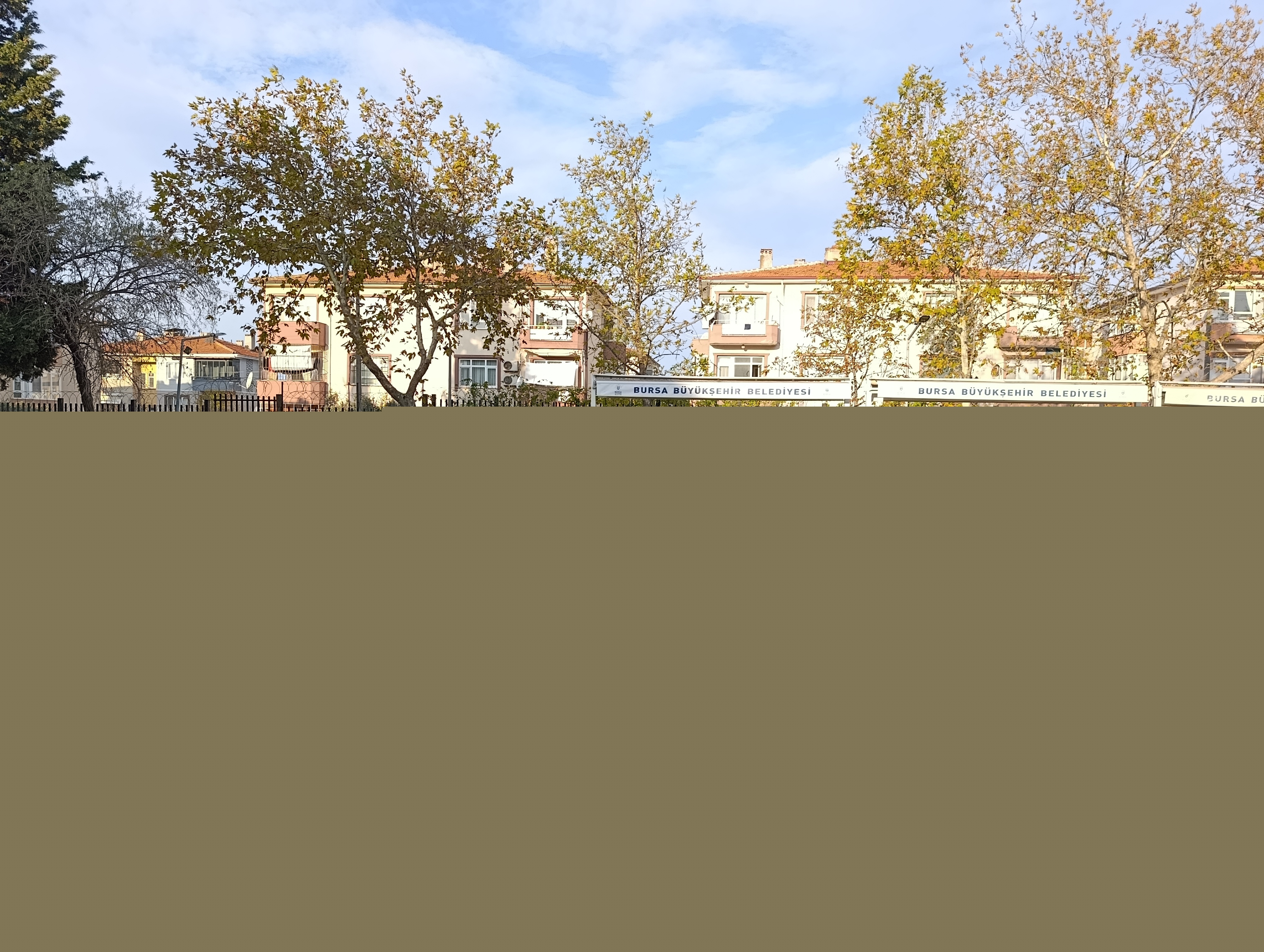 IMG_20251110_090537! ?? 