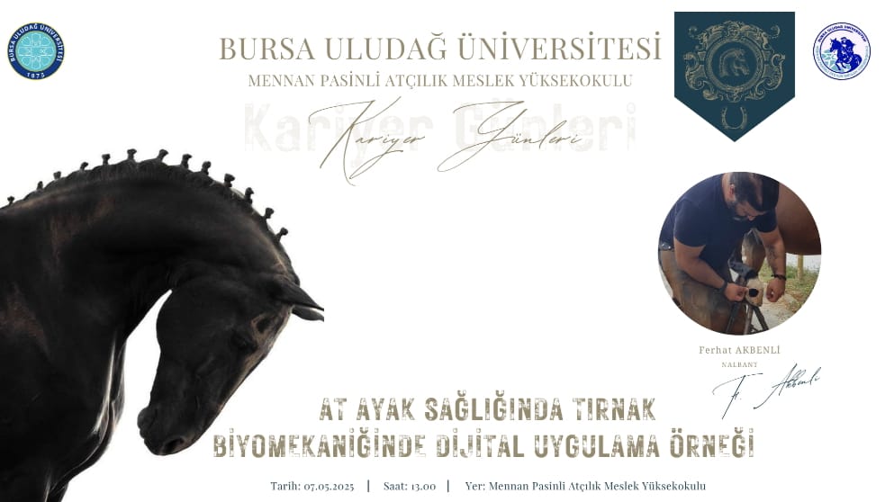 AT AYAK SAĞLIĞINDA TIRNAK BİYOMEKANİĞİNDE DİJİTAL UYGULAMA ÖRNEĞİ