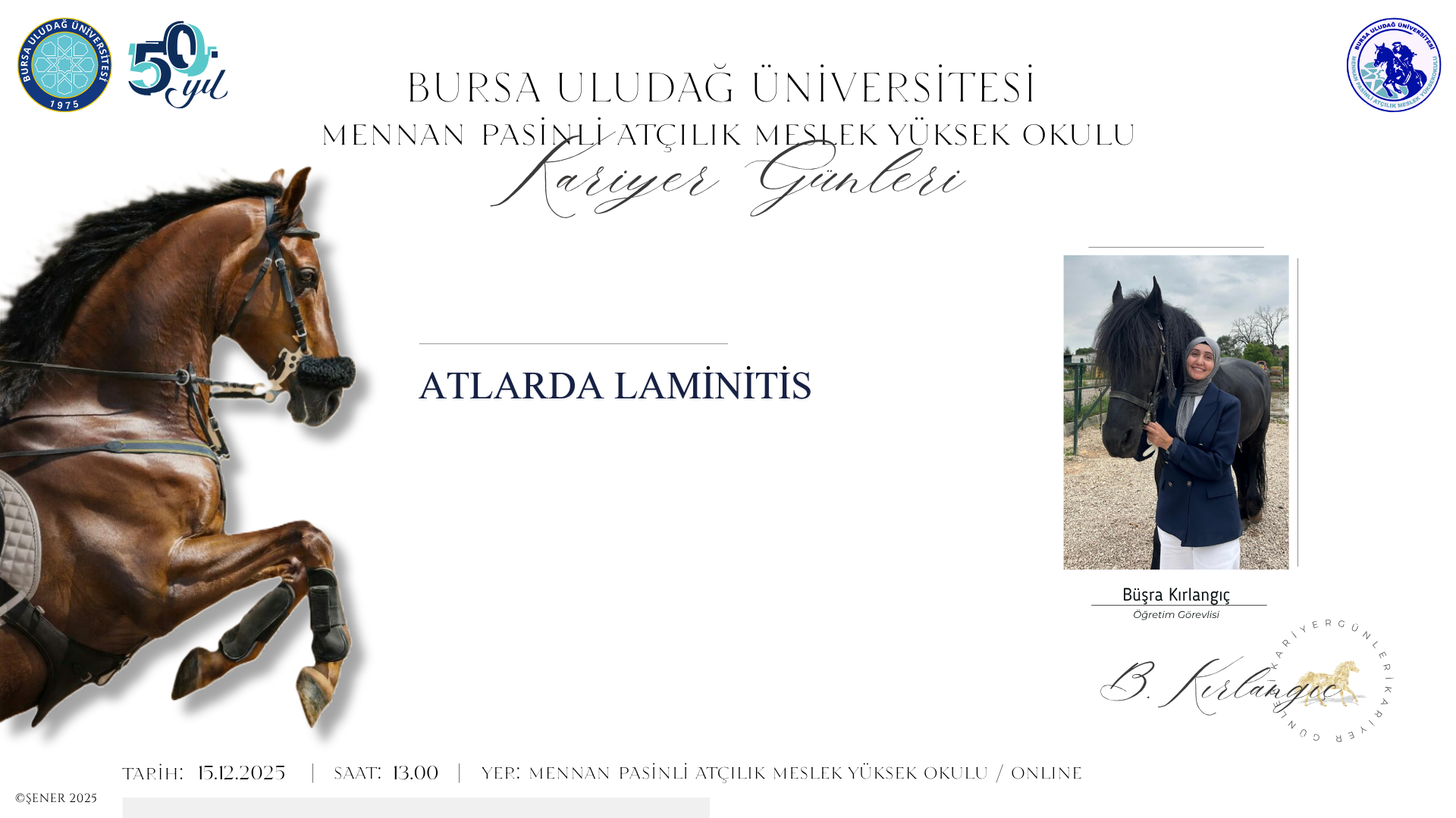 ATLARDA LAMİNİTİS