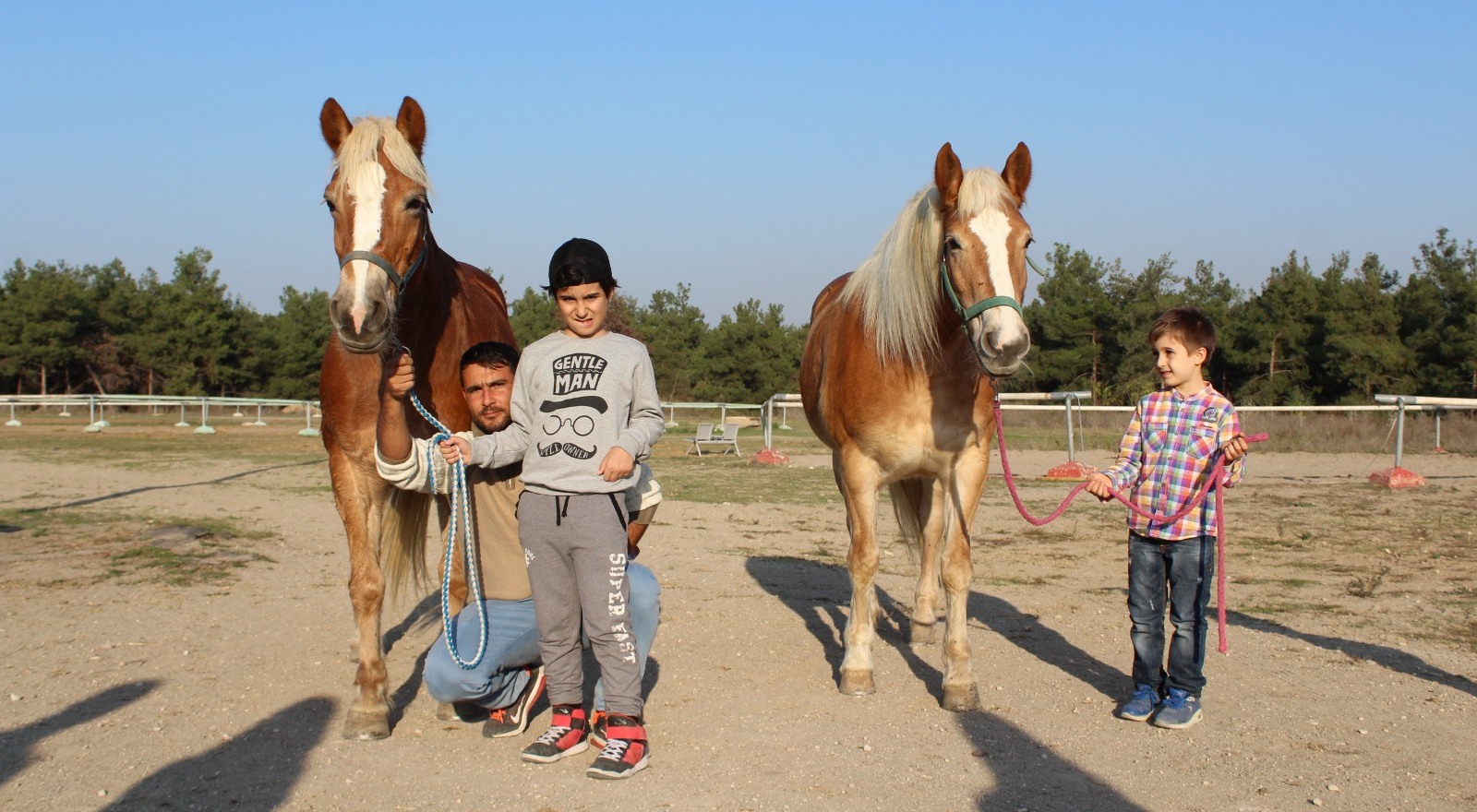  İzmir’in fayton atları ikinci baharı Bursa’da yaşıyor 
