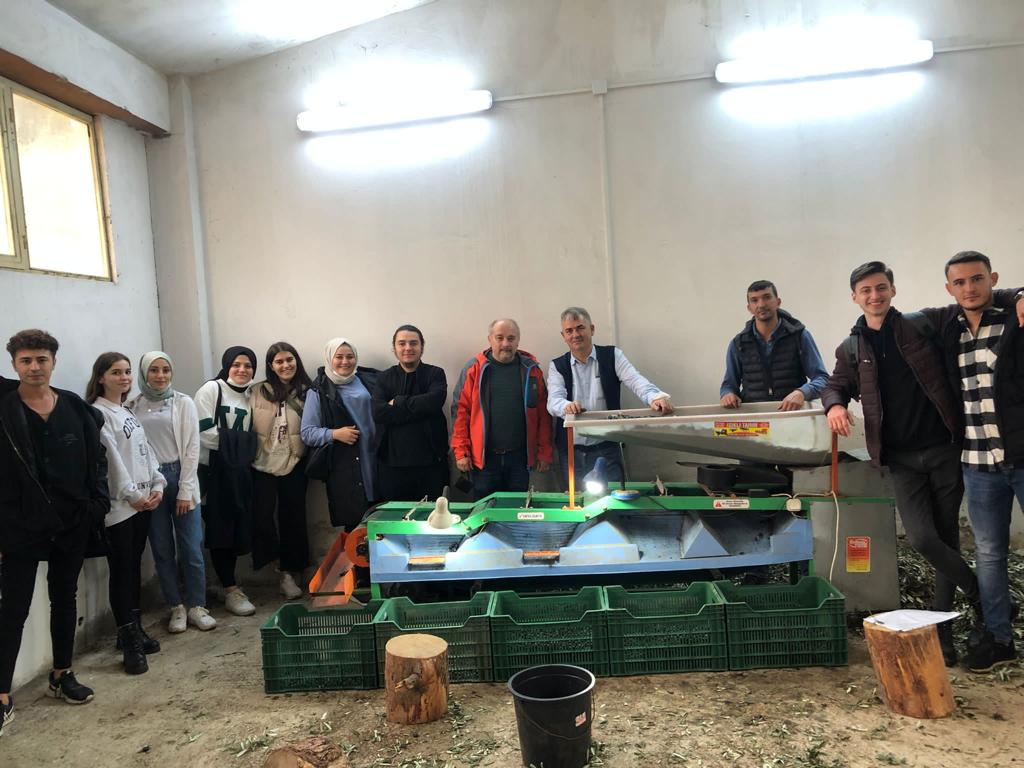  Gemlik A.K. MYO Gemlik Kampüsündeki Zeytin Bahçesinde Bahçe Tarımı Programı Öğrencileriyle Hasat Yaptı 