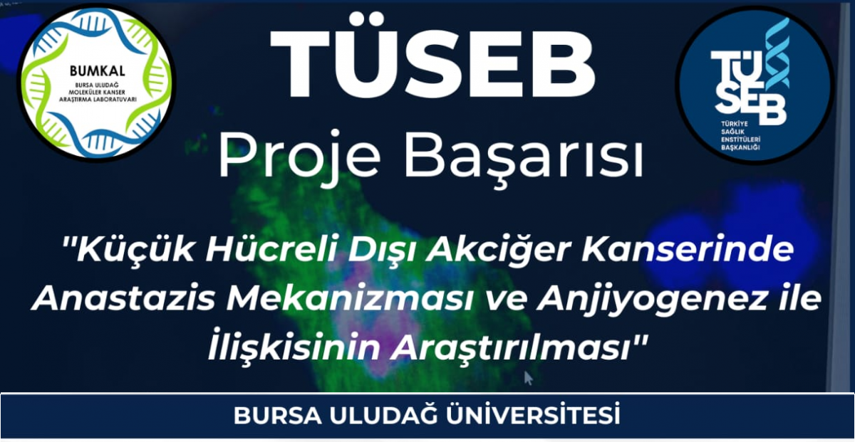 Sağlık Hizmetleri MYO BUMKAL Ekibinden TÜSEB Proje Başarısı