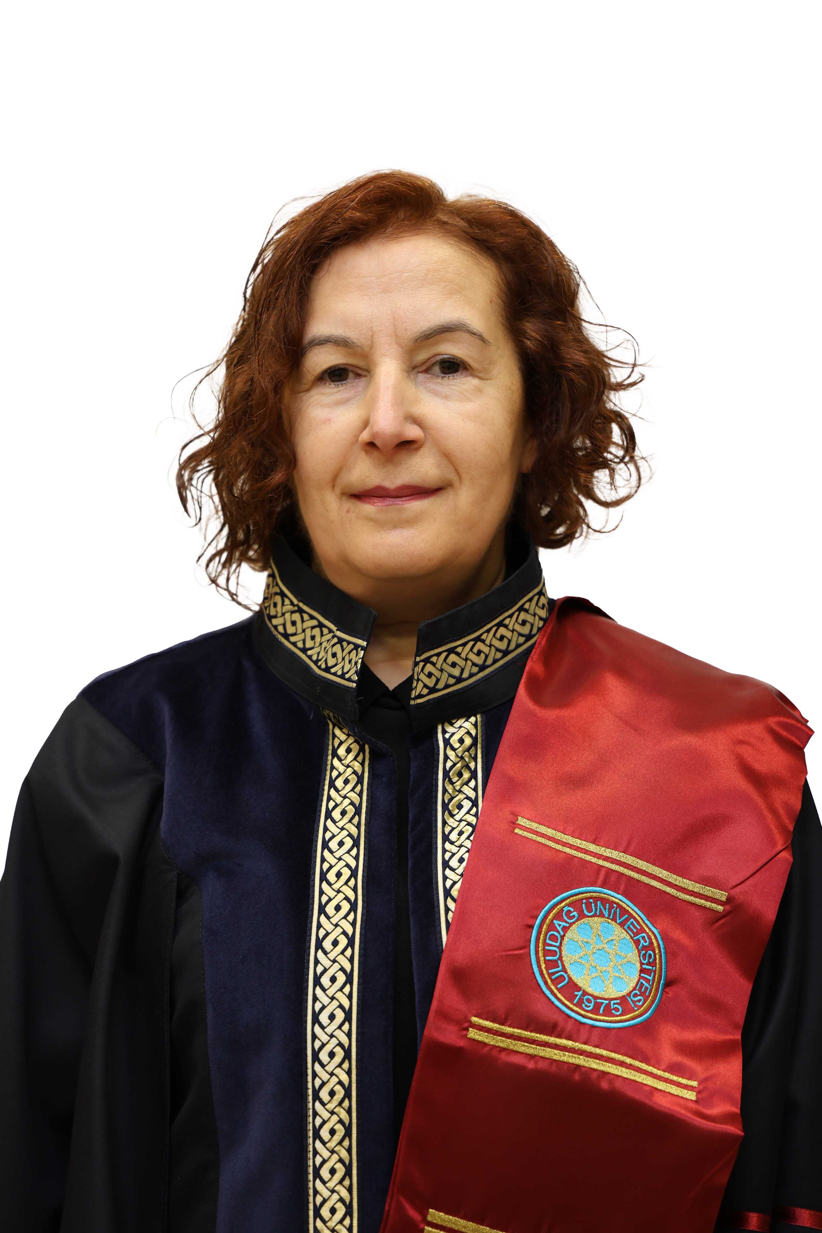 AYŞE ELMACI