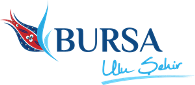 uludag universitesi
