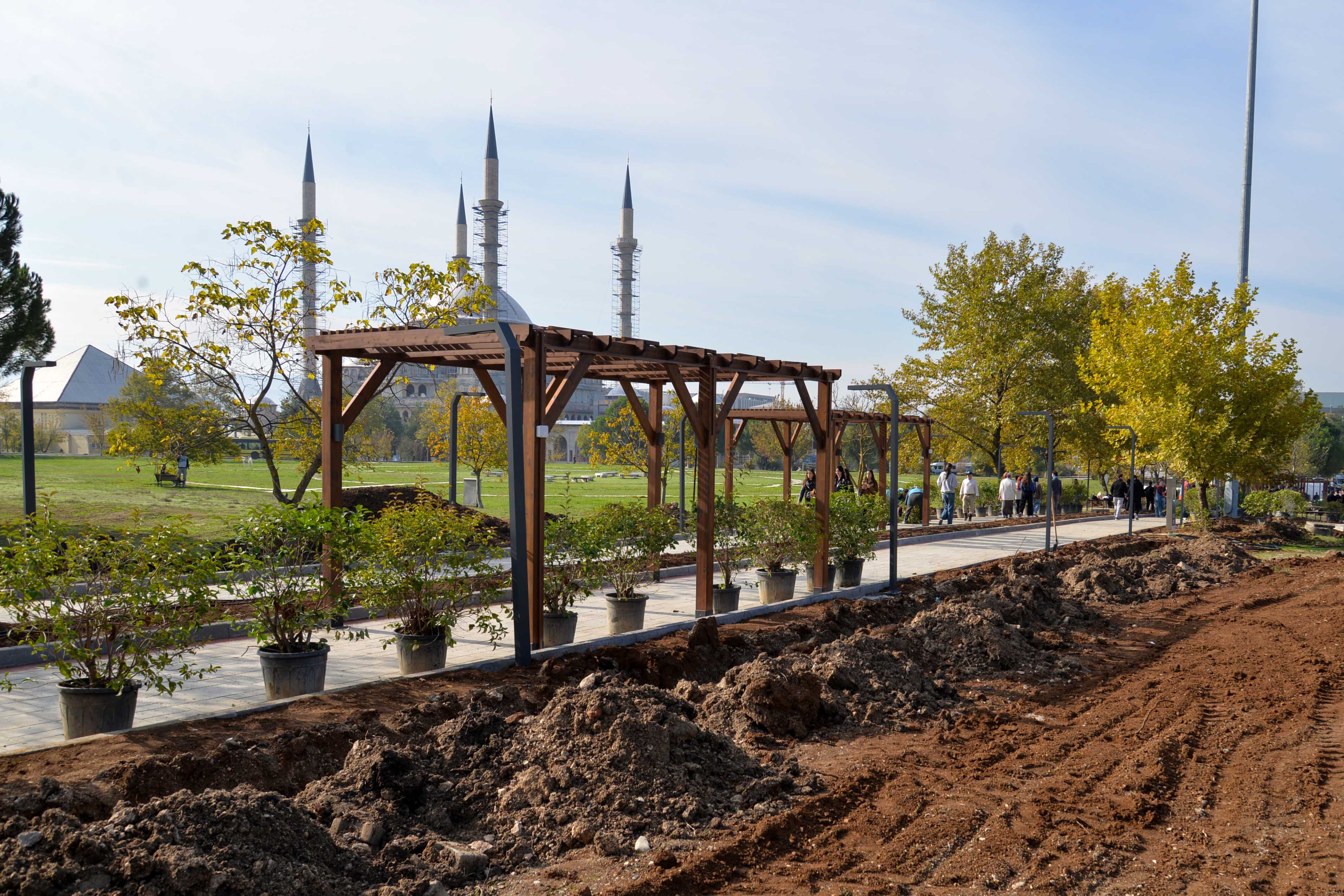 20251022104655469DSC_0214! ?? 